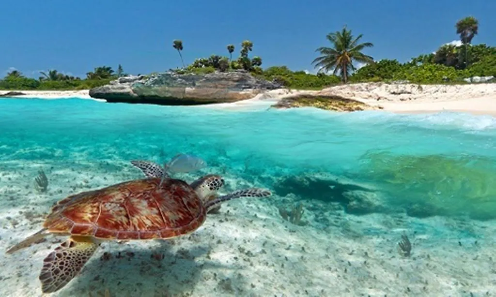 Tao Modern Retreat Daire Akumal